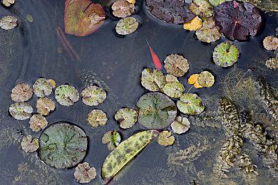 汽车续航超1000km 中国科学院半固态锂电池商用
